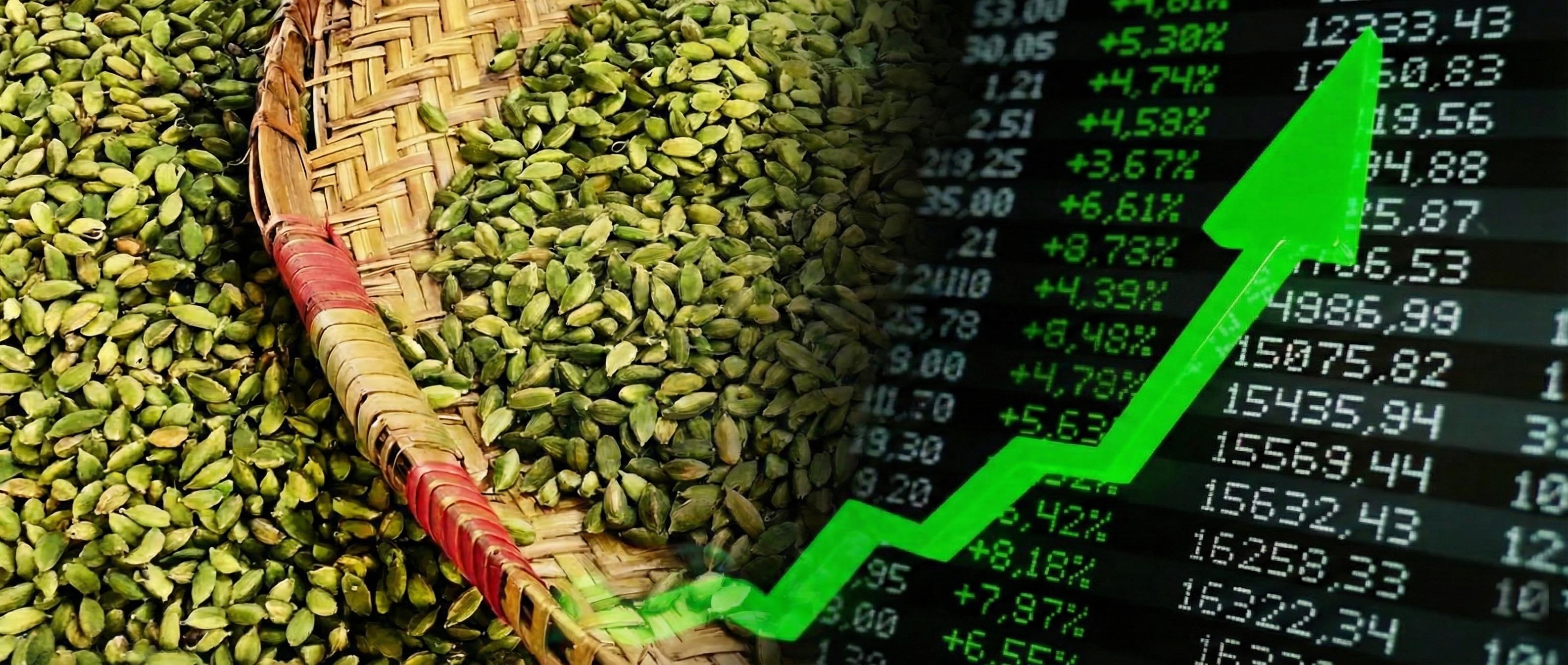 ആഗോള വിപണിയിൽ  ഇന്ത്യൻ ഏലത്തിന് മികച്ച സമയം. ഗ്വാട്ടി മാലയിലെ പ്രതിസന്ധി നേട്ടമാകുന്നു  